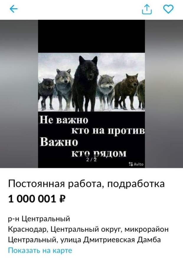 Нелепые и странные ситуации с просторов России