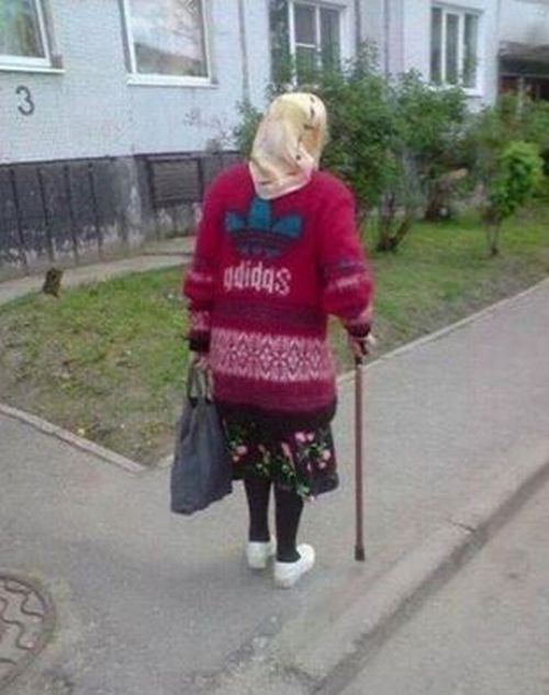 Свежие фото-приколы для всех (49 шт)