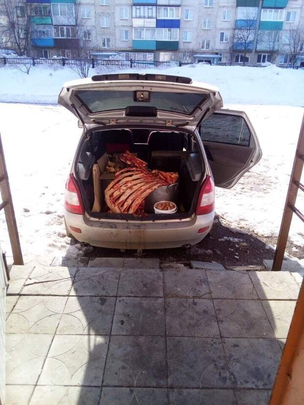 Абсурд и беспредел в детских садах: нереальные поборы и отдельные стулья для детей-должников Абсурд и беспредел в детских садах: нереальные поборы и отдельные стулья для детей-должников