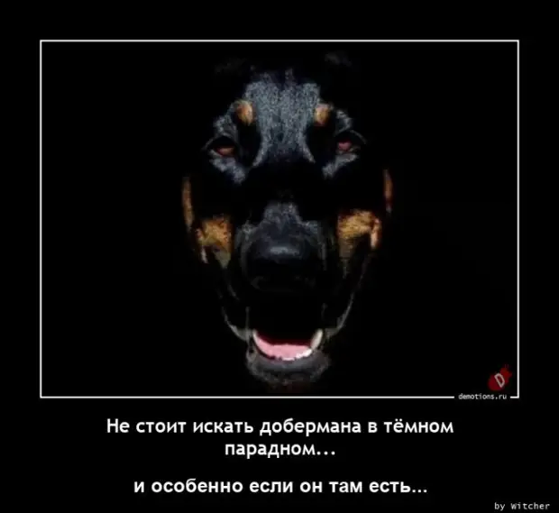 Демотиваторы свежие, прикольные (13 фото)