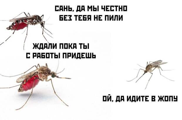 Мы не пили без тебя... Мы не пили без тебя...