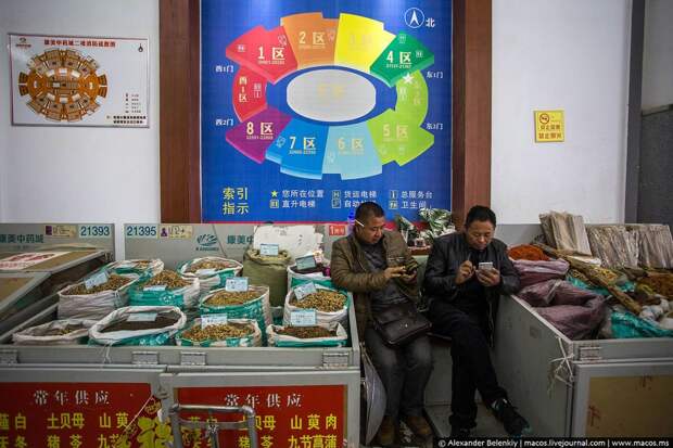 Китайский рынок народной медицины