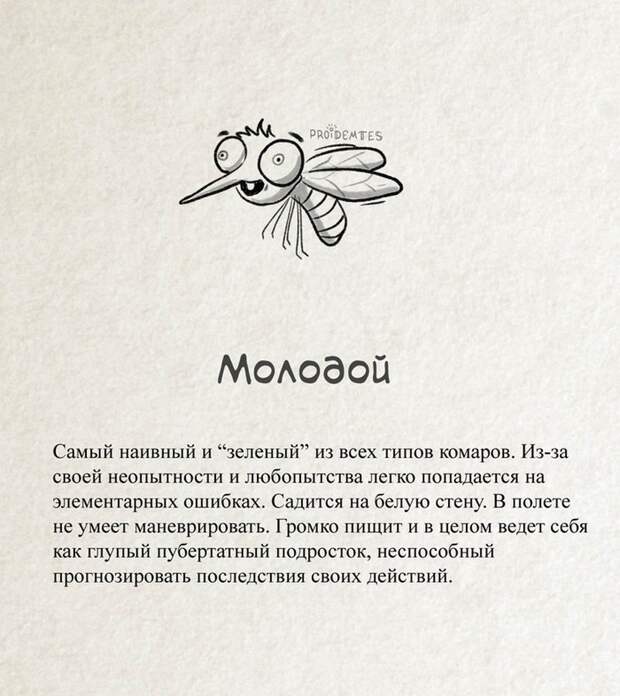 Немного юмора о комарах