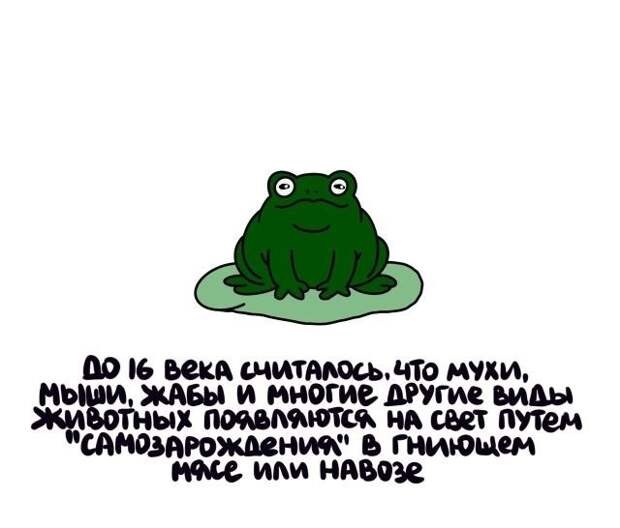 Короткие интересные факты на все случаи жизни