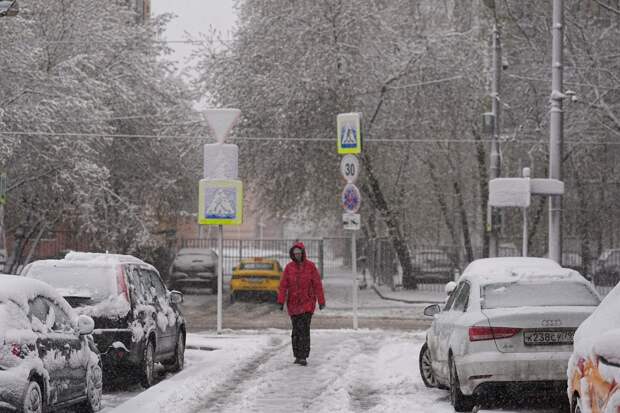 Синоптик Макарова: снегопад продолжится в Москве и Подмосковье 28 апреля