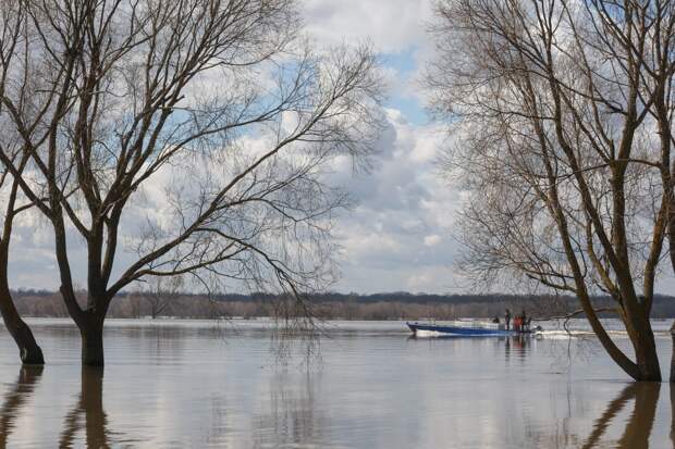 После исчезновения рыбаков под Волгоградом возбудили уголовное дело