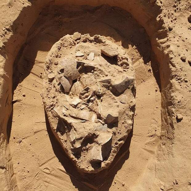 Возле древнего костра нашли 7000-летние страусиные яйца