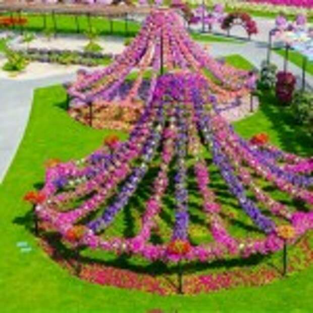 Dubai Miracle Garden