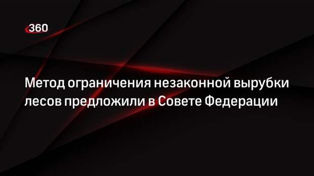 Метод ограничения незаконной вырубки лесов предложили в Совете Федерации