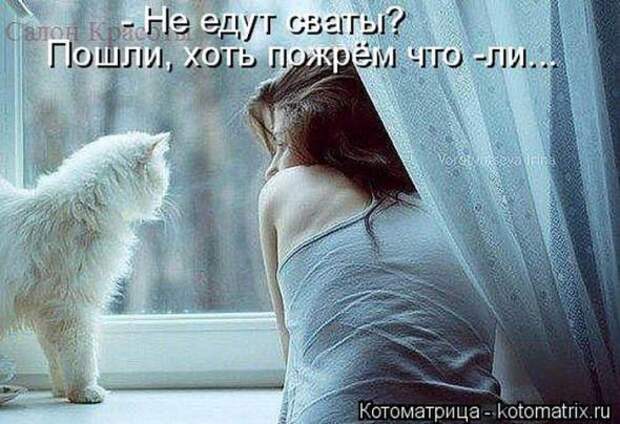 Котоматрицы(картинки с надписями)