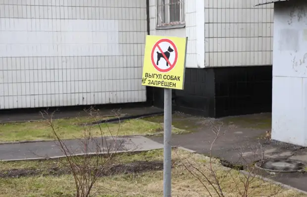 Во дворе на улице Лётчика Бабушкина появился необычный знак