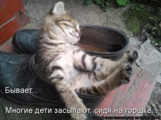 Милая котоматрица
