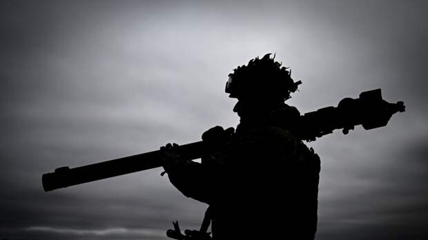 ВС России уничтожили комбата бригады теробороны ВСУ