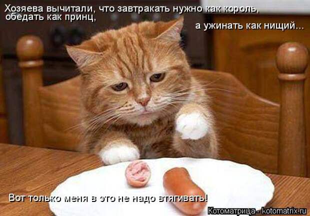 Котоматрица: Хозяева вычитали, что завтракать нужно как король,  обедать как принц,  а ужинать как нищий... Вот только меня в это не надо втягивать!