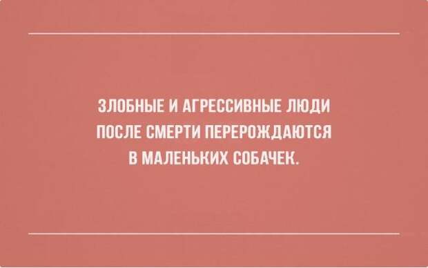 22 открытки с черным юмором 22 открытки с черным юмором открытки, юмор