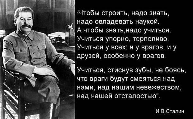 Актуальные цитаты интернета