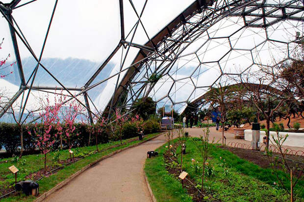 Райский сад