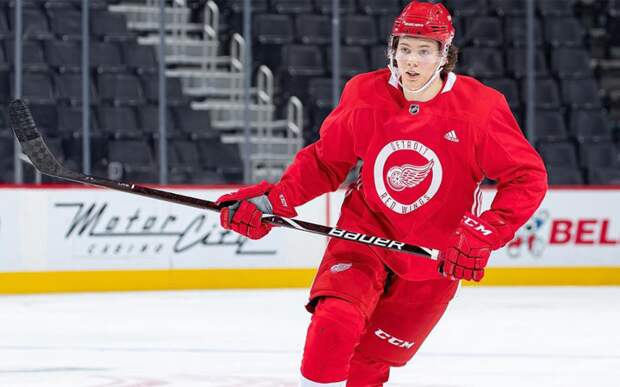 «Детройт» обыграл «Нэшвилл» в чемпионате НХЛ