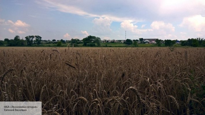 Це страшні і вражаючи цифри: радикалы устроили бунт в Раде  - мы требуем прекратить торговать сырьем Украины с Европой 