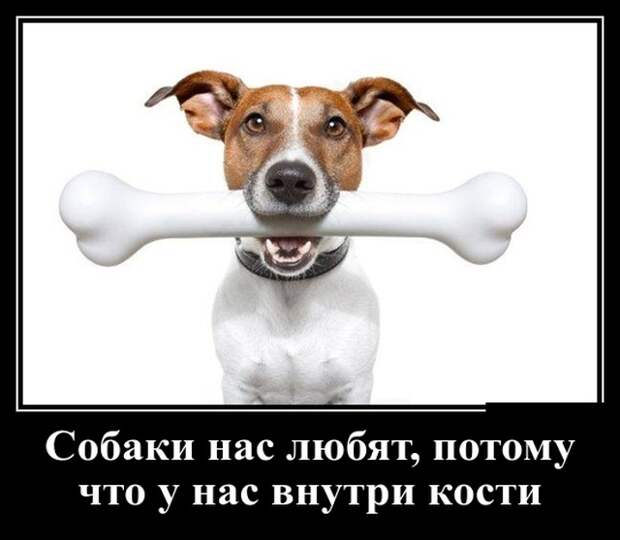 Демотиваторы (30 фото)