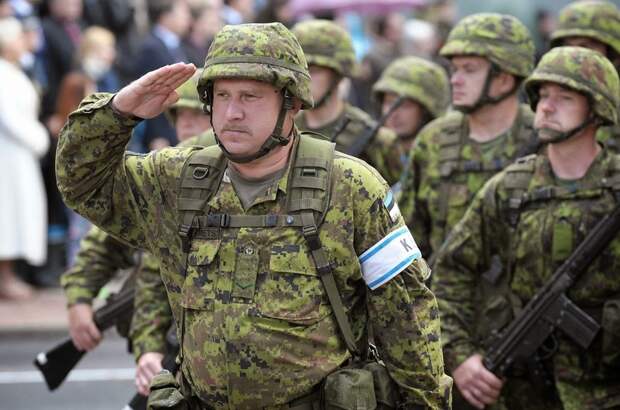 Эстонская армия  на параде.  фото: картинки яндекса.