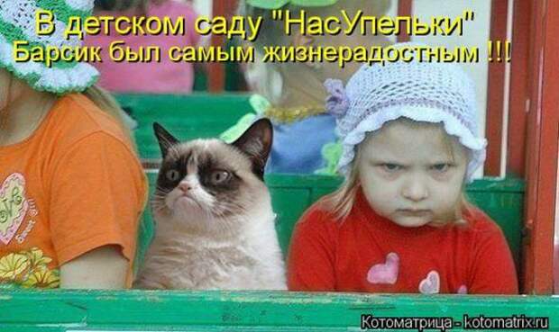 Котоматрицы (картинки с надписями)