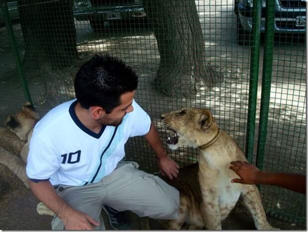 extreme-zoo_19_(funnypagenet.com)