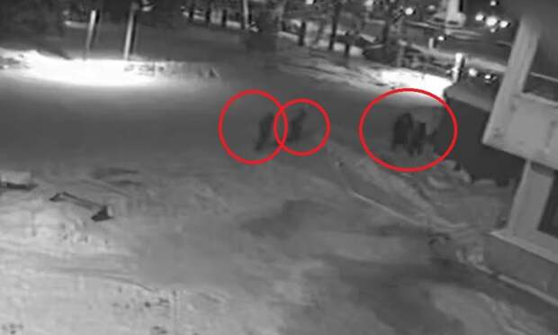 Дети попытались попасть в архангельский драмтеатр через вентиляцию