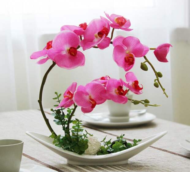 Красивая небольшая композиция с орхидеей