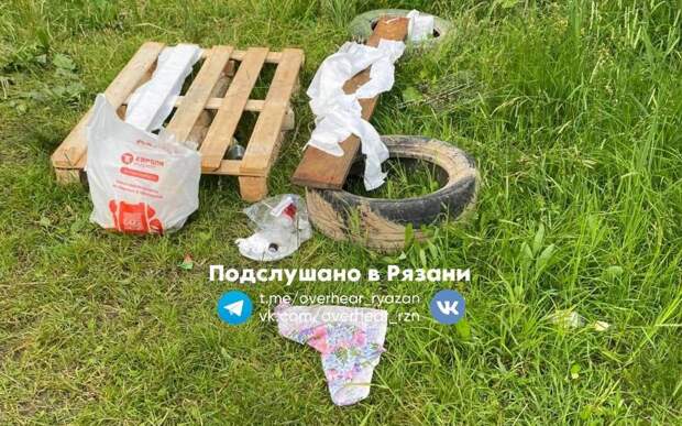 Рязанцы пожаловались на мусор на Черезовских прудах