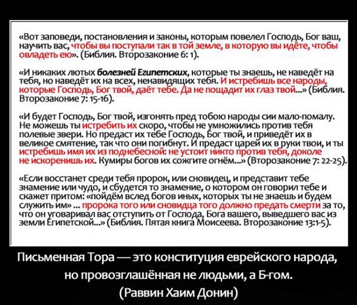 Экстремисты бывают разные и дураки — тоже!