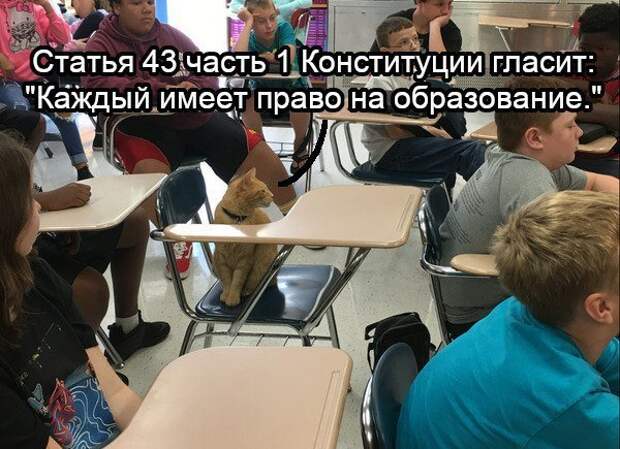 Нестандартный юмор