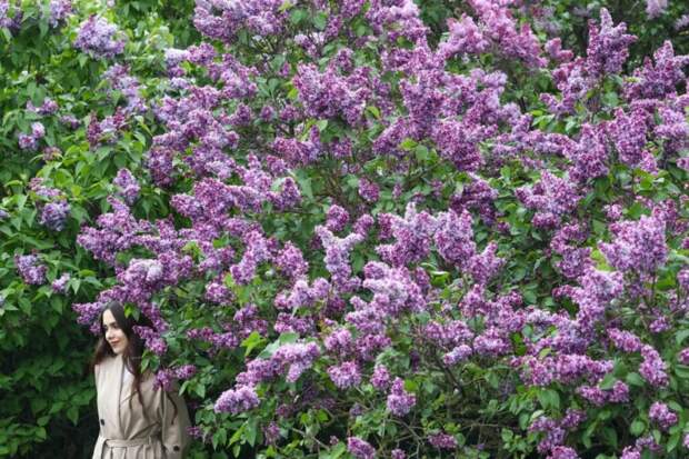 Синоптик Тишковец: в апреле и мае в Москве возможен снег