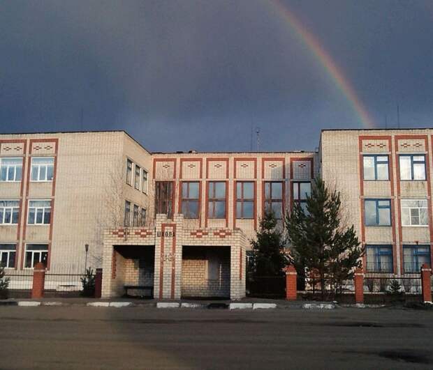 3 коротких факта об отравлении 44 школьников газом