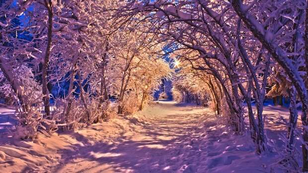 nature_landscapes_winter_snow_christmas_sidewalk_roads_lights_white_trees_desktop_images