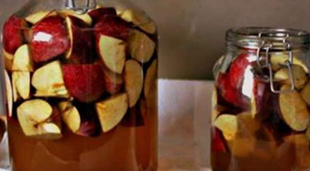 Для здорового организма: готовим яблочный уксус дома без вреда для здоровья
