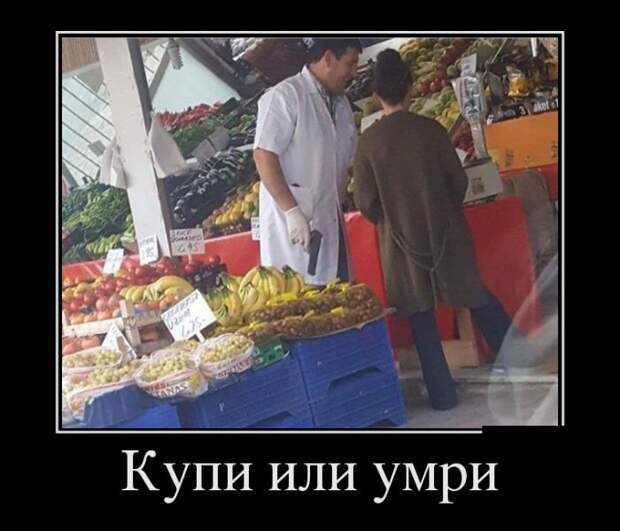 Демотиваторы (30 фото)