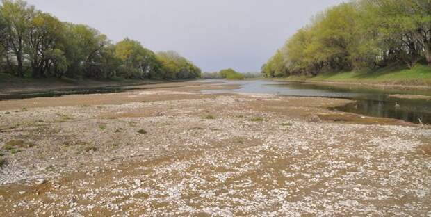 Украина крадет у Молдавии крупнейшую реку
