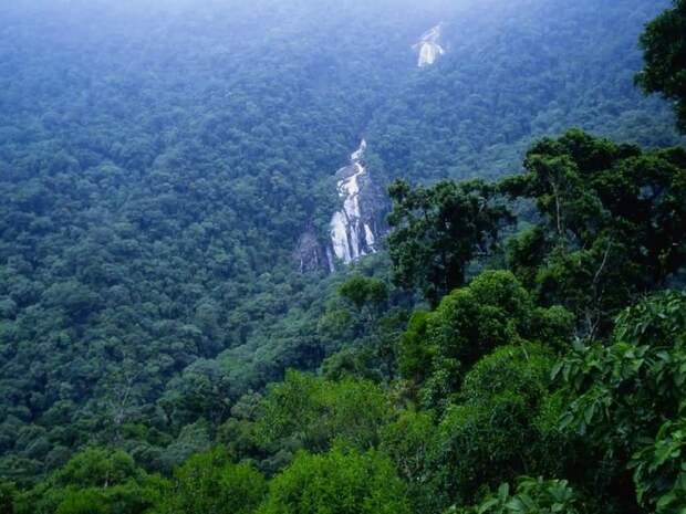 Amazonas04 Amazonas04 Большое фотопутешествие по лесам Амазонки