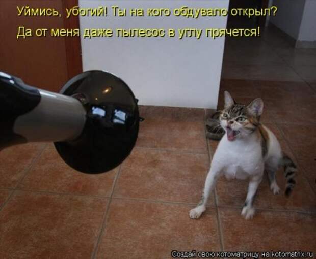 Котоматрицы