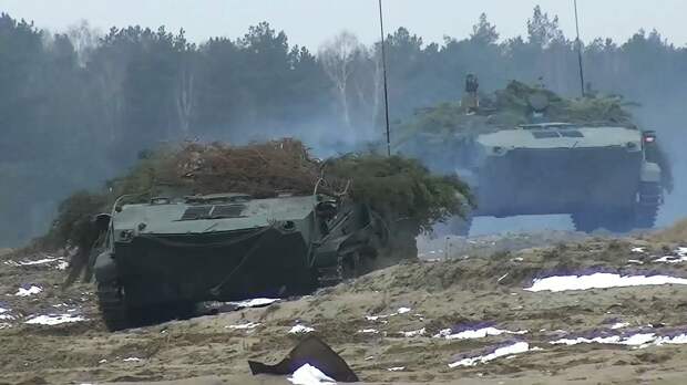 Боевые машины десанта во время совместных российско-белорусских учений Союзная решимость Боевые машины десанта во время совместных российско-белорусских учений Союзная решимость - РИА Новости, 1920, 14.02.2022