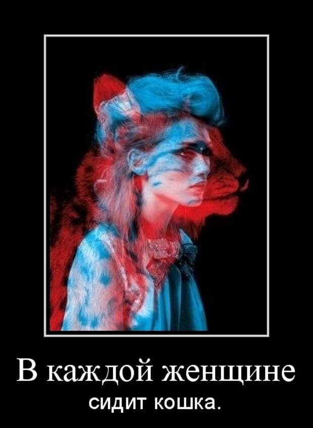 Свежие и прикольные демотиваторы со смыслом (10 фото)