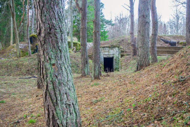 SHOT: российские бизнесмены начали скупать дома с бункерами в Новой Зеландии