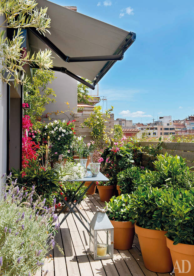 Balcony gardening. Озеленение балкона. Озеленение балконов и лоджий. Сад на балконе. Цветы на балконе.