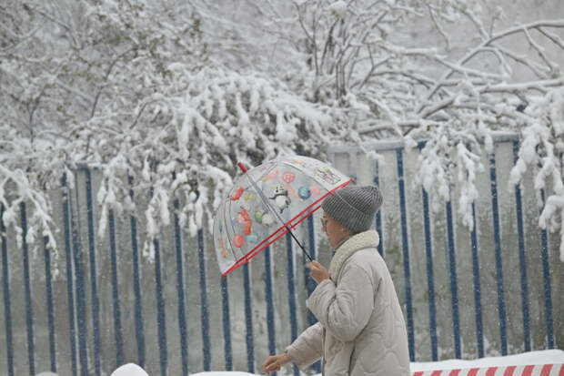 Москвичам дали прогноз по снегу