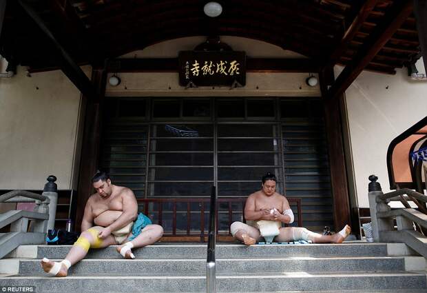 8000 калорий в день и кислородные маски: как живут борцы сумо