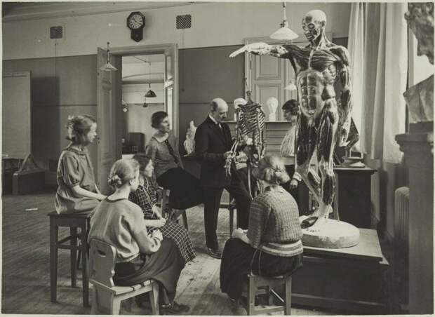 Класс анатомии, 1920-е история, ретро, фото