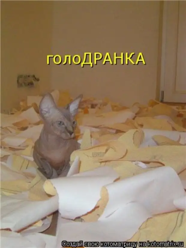 Смешные карикатуры каратэ. Под горячую руку попали. Пузырь после прижигания жидким азотом. Ты меня бесишь. Наказание под горячую руку.