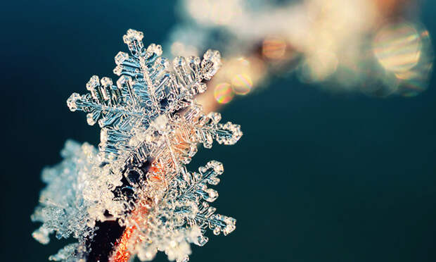 flakes