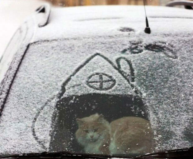 Фотографии, на которые невозможно смотреть равнодушно